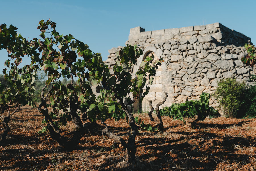 primitivo attanasio - trullo